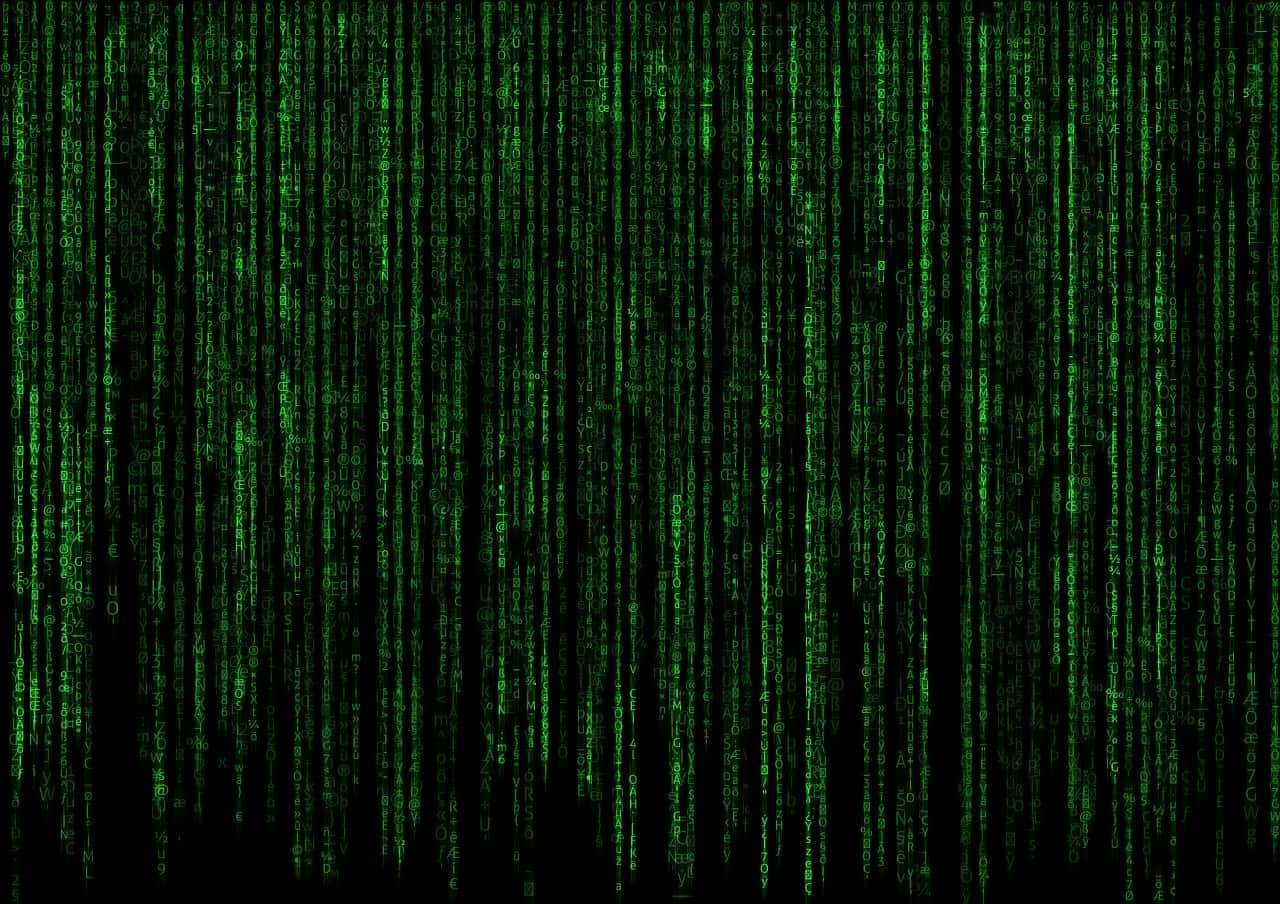 איך בוחרים חברת מחשוב לעסק?